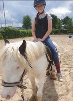 Hübsches Pony mit tollen Gängen Nordrhein-Westfalen - Fröndenberg (Ruhr) Vorschau