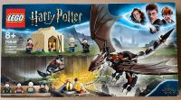 LEGO 75946 - Harry Potter: Das Trimagische Turnier: der ungarisch Berlin - Tempelhof Vorschau