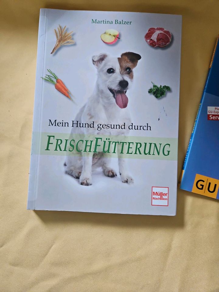Hunde , Ernährung,  Erziehung in Duisburg