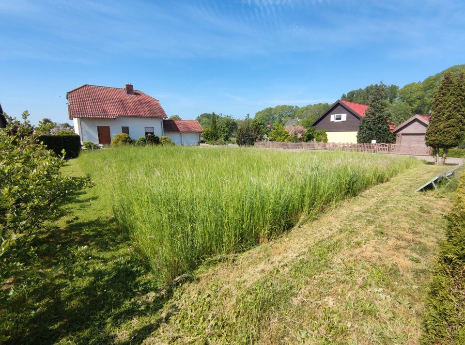 ruhig gelegenes Baugrundstück in Mügeln OT Schweta in Mügeln