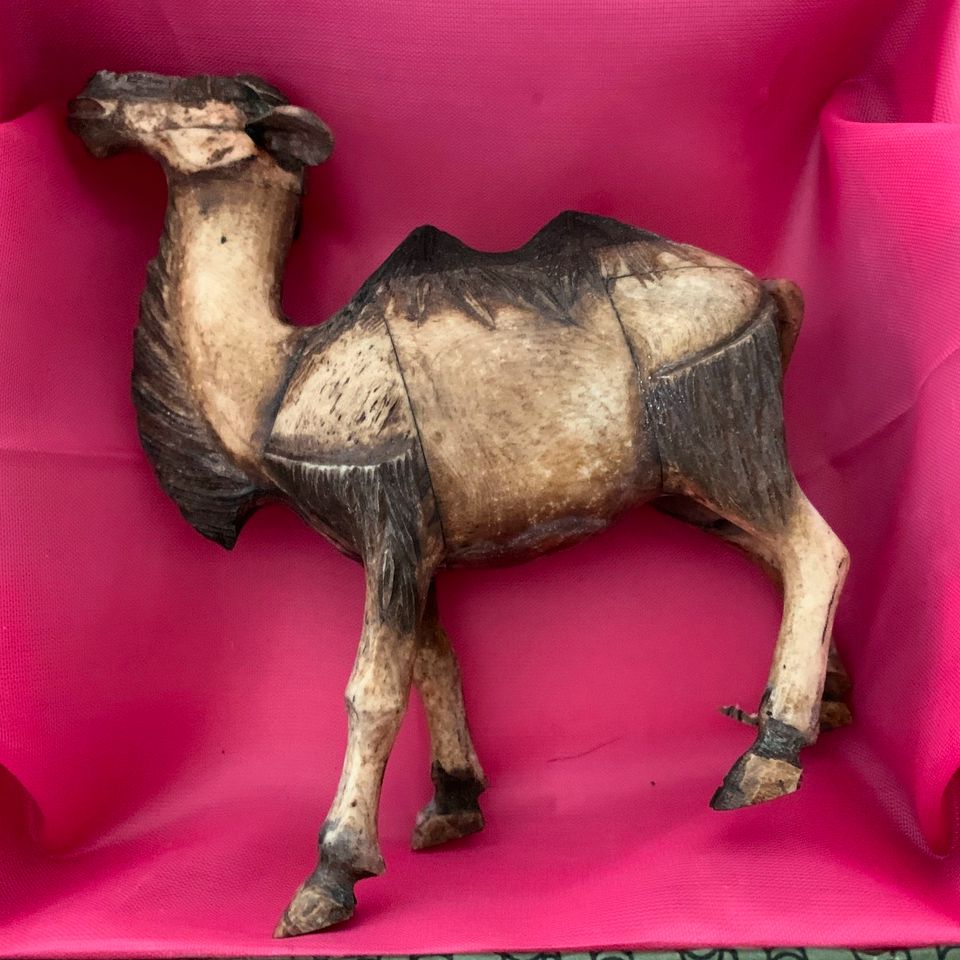 Camel aus Knochen Handarbeit Kunst Antike Sammler in Aachen