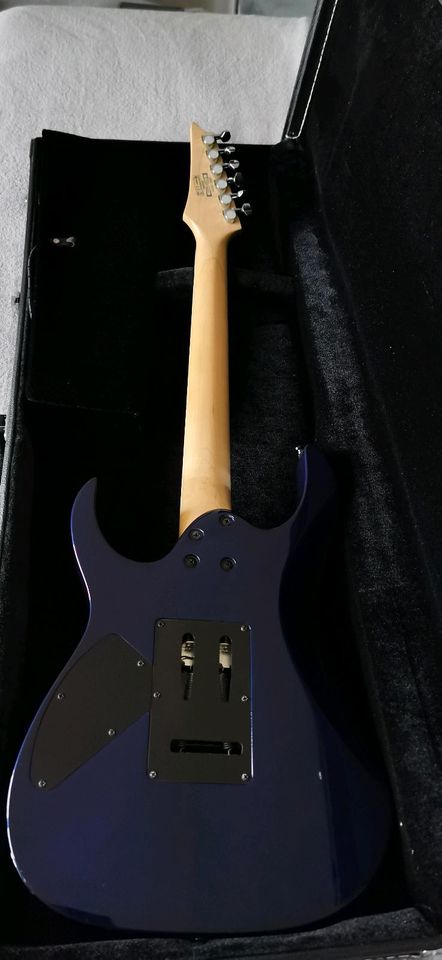 Ibanez GIO in Dreschvitz