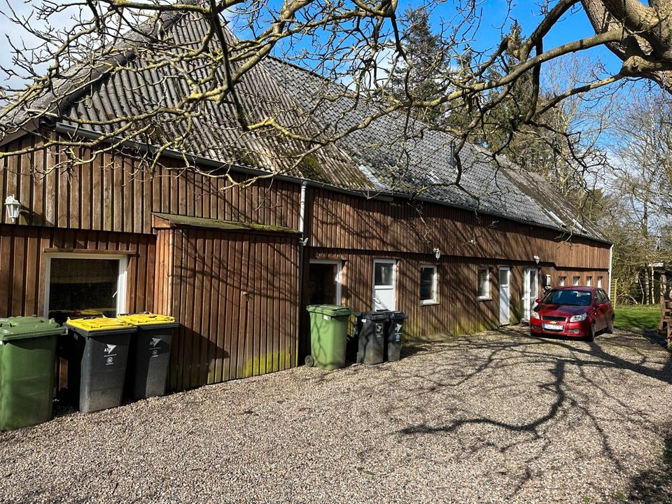 Großes Bauernhaus mit 4 Wohnungen in ruhiger Dorfrandlage! in Maasbüll