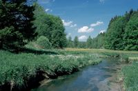 Suchen Grünland, Heuwiesen und extensive Flächen im Günzgebiet Bayern - Ottobeuren Vorschau
