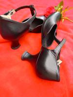 Damen Schuhe (Tanzschuhe) Schleswig-Holstein - Brinjahe Vorschau