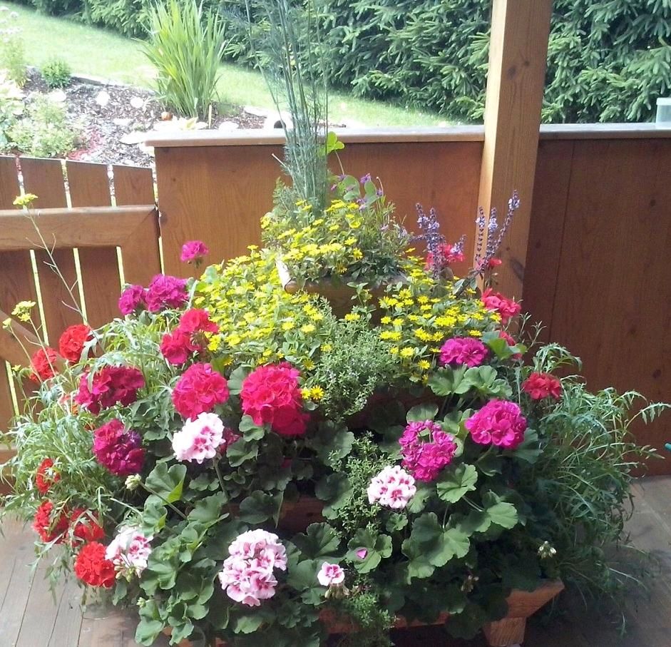 PYRAMIDE FÜR HIMBEEREN, HOCHBEET, BLUMENBEET, KRÄUTERBEET. in Schönefeld