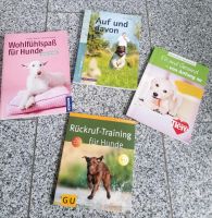 Hunde - Training & Ernährung Hessen - Idstein Vorschau