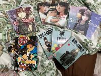 manga sale! Spy family, demon slayer, vampire knight, 5cm per sec Nordrhein-Westfalen - Hagen Vorschau