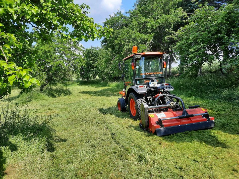 Traktor mit Schlegelmulcher mieten - 180 € / Tagesmiete in Kreischa