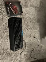 G910 Tastatur von Logitech und eine Maus von Trust Sachsen - Mühlau Vorschau