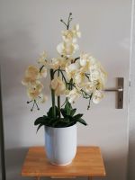 Künstliche Orchidee 89 cm hoch mit weißen Übertopf Brandenburg - Neuruppin Vorschau
