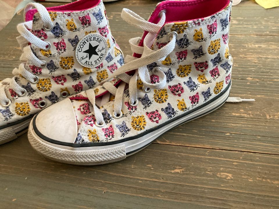 Converse 33,5 Katzen in Hildesheim