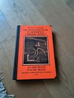 Die Ziegeleitechnik in modernen Fabrikbetrieben von 1926 Bayern - Dorfen Vorschau