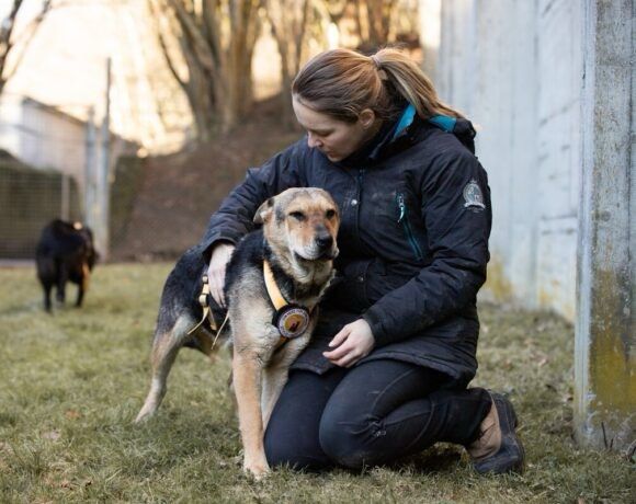 Hier kommt die tolle Shay in Rennertshofen