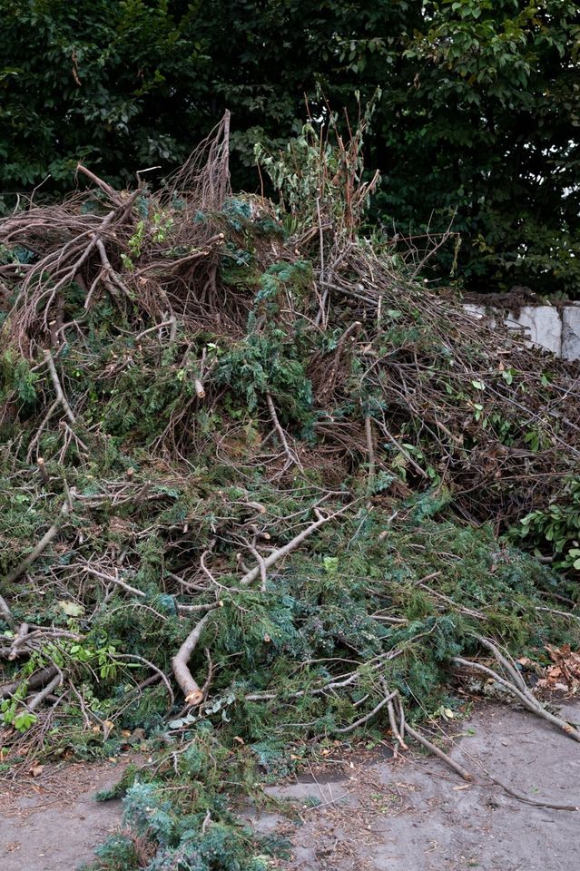 Wir Entsorgen Grünschnitt-Gartenabfall-Wurzeln-Laub-Äste-Hecken in Neuss