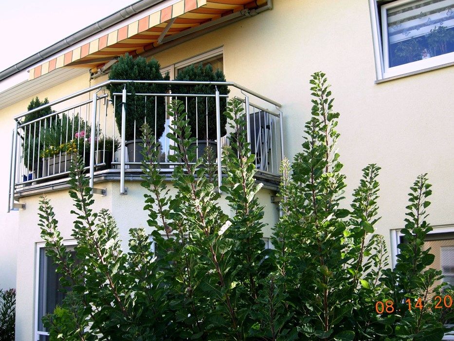 Traumhafte 4-Zimmer-Wohnung im 1. OG mit Dachstudio in Egelsbach in Egelsbach