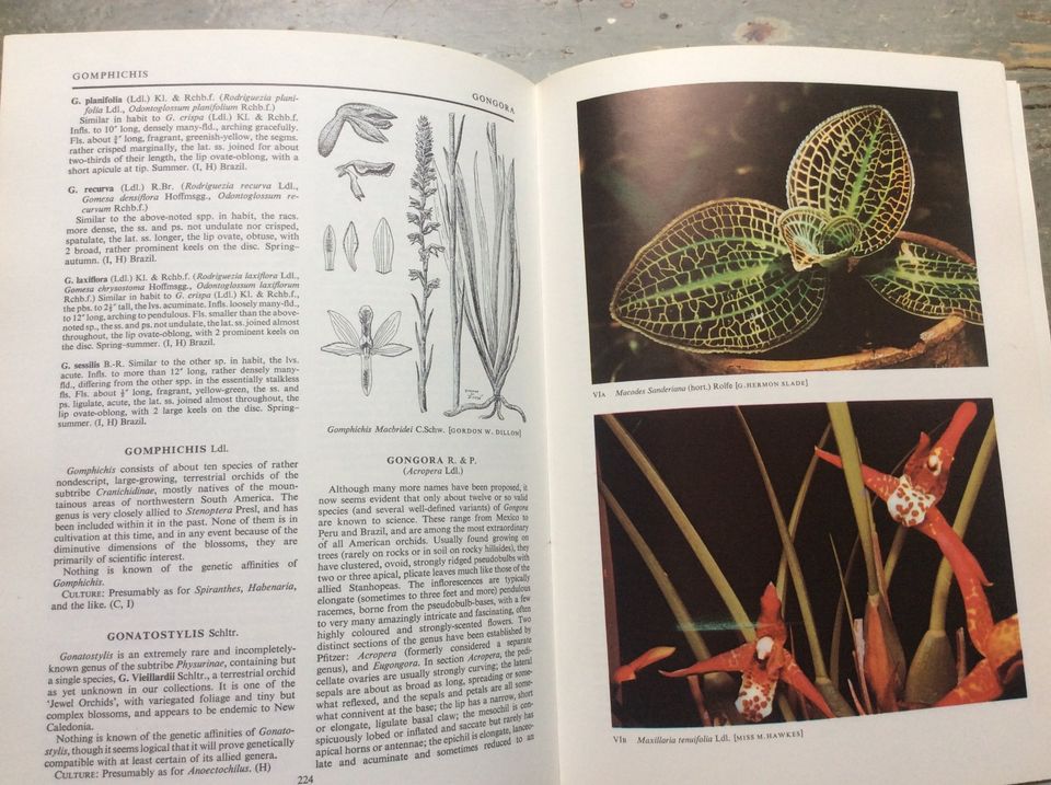 Alex D. Hawkes: Encyclopaedia of cultivated orchids, englisch in Berlin