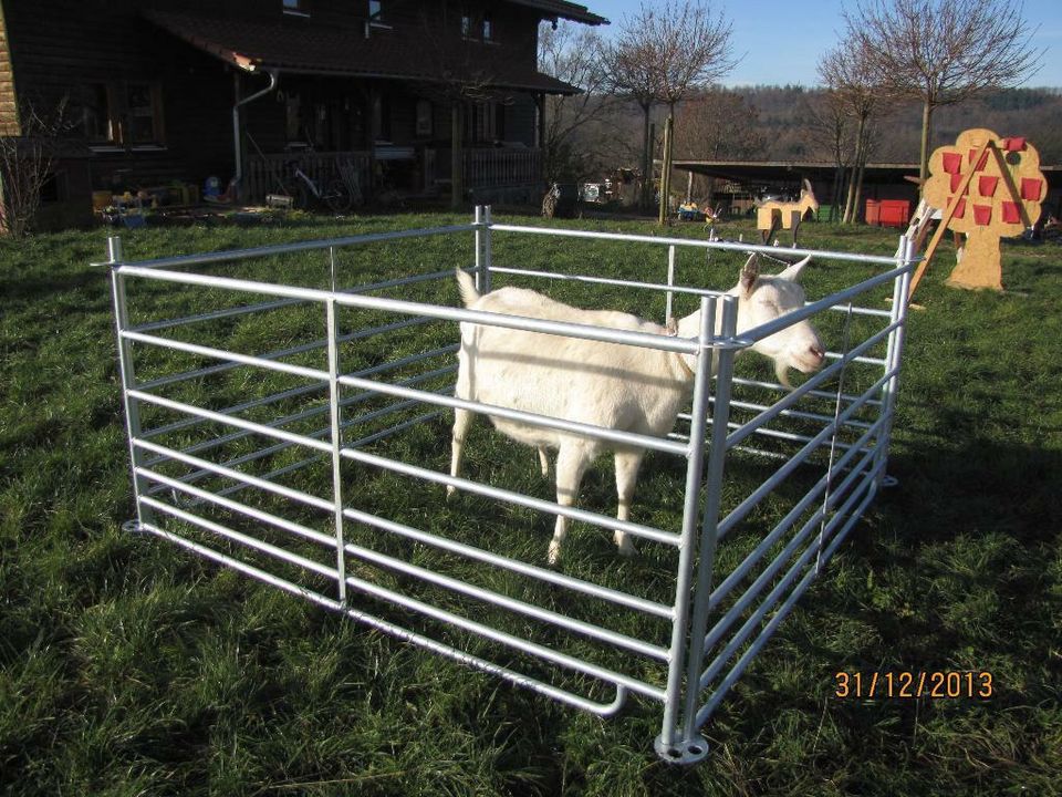 Steckfix-Horden für Schafe, Ziegen, Kälber, Ponys und Esel in Schotten