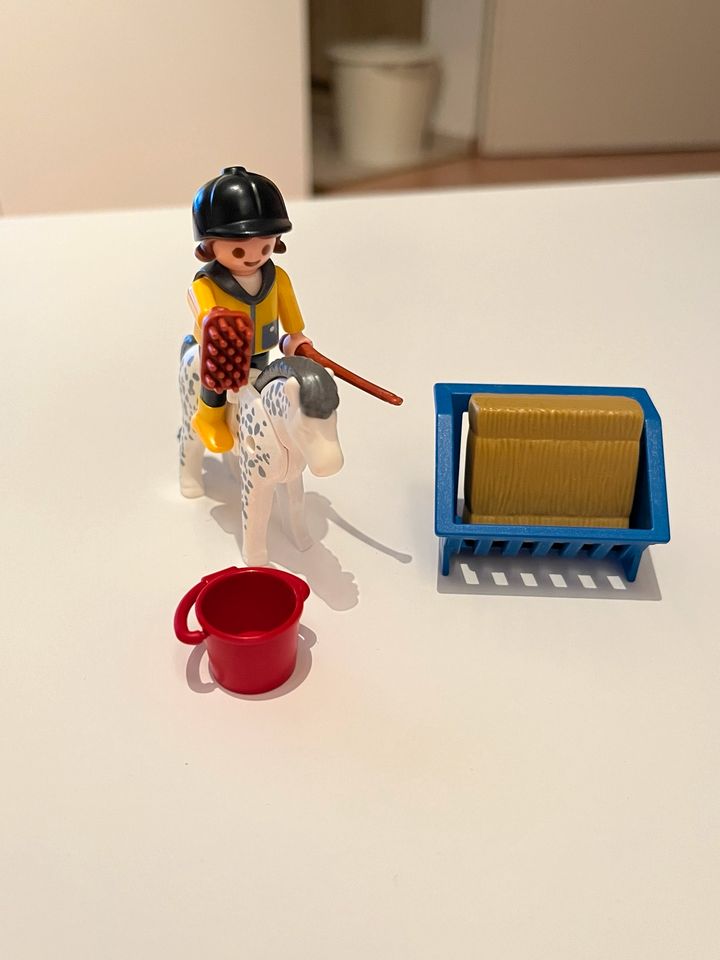 Playmobil Sammlung in Kiel