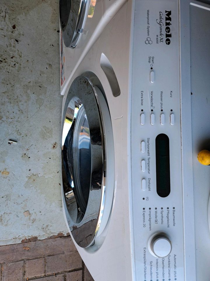 Miele Waschmaschine 6kg in Gründau