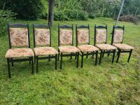 6 Esszimmerstühle Holz gepolstert Sachsen-Anhalt - Elsteraue Vorschau