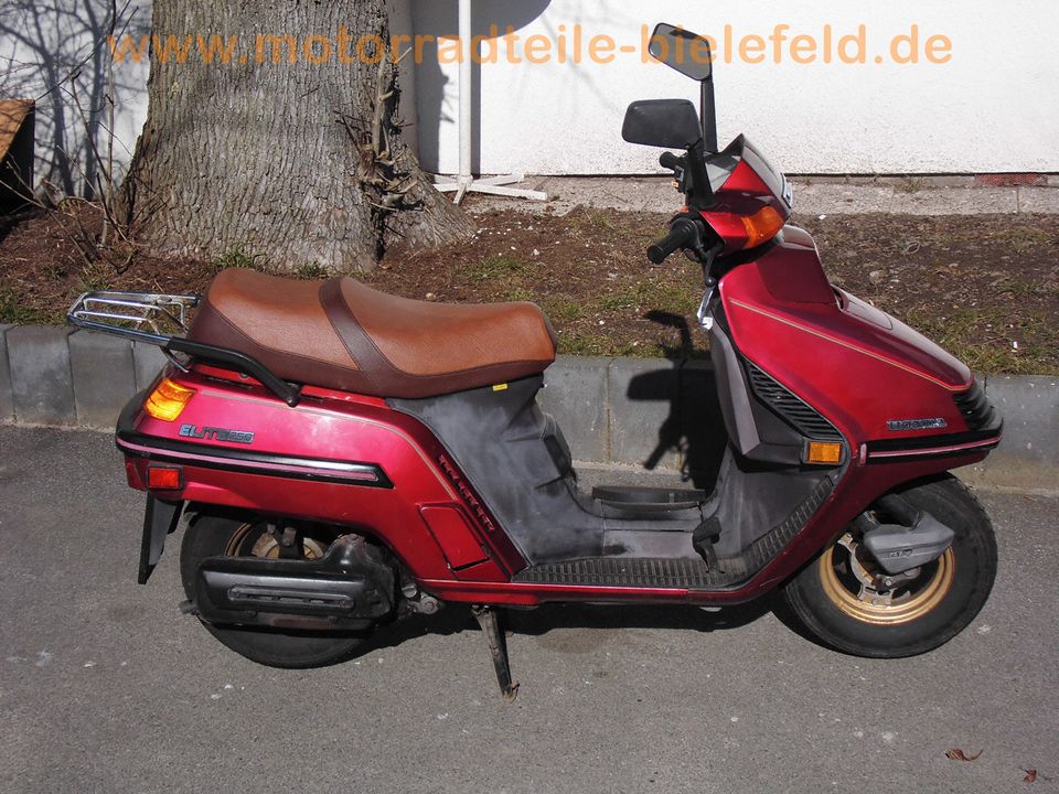 Honda Spacy 125 CH125 JF03 Roller Scooter Topcase für ERSATZTEILE in Werther (Westfalen)