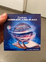 Boomerang Ball Niedersachsen - Vechelde Vorschau