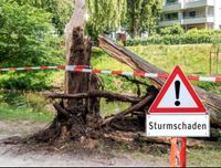 Sturmschaden ? Wir helfen gerne ! Dithmarschen - Brunsbuettel Vorschau