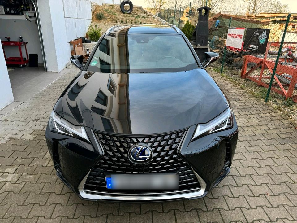 Lexus UX 250 H in Hohenthann