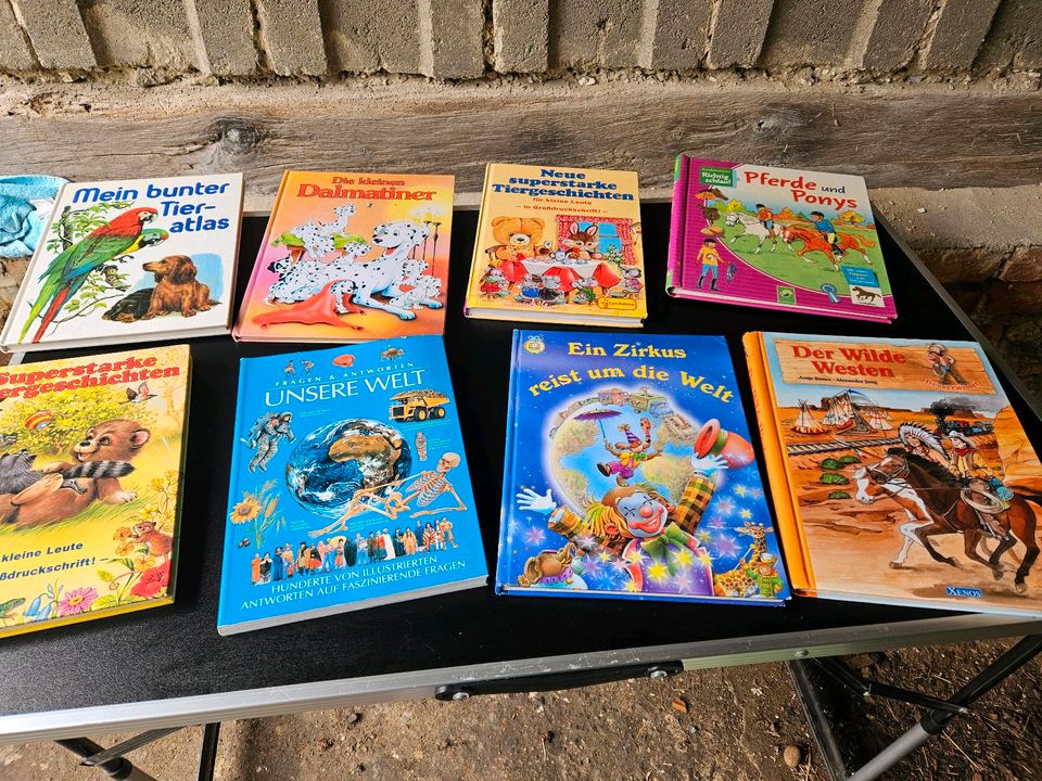 Diverse Kinderbücher in Hoym