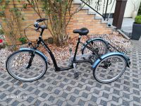 Dreirad für Erwachsene Brandenburg - Potsdam Vorschau