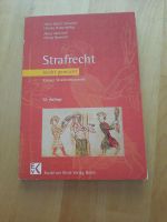 Buch Strafrecht leicht gemacht Fälle Hinweise Studium Klausuren Schleswig-Holstein - Kaltenkirchen Vorschau