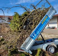 Kippanhänger/Hydraulikkipper/Baukipper/Gartenkipper zu verkaufen Baden-Württemberg - Ravensburg Vorschau