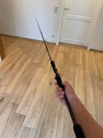 Fox Rage Worrior Pike Cast 2,25m 20-80g Brandenburg - Karstädt Prignitz Vorschau