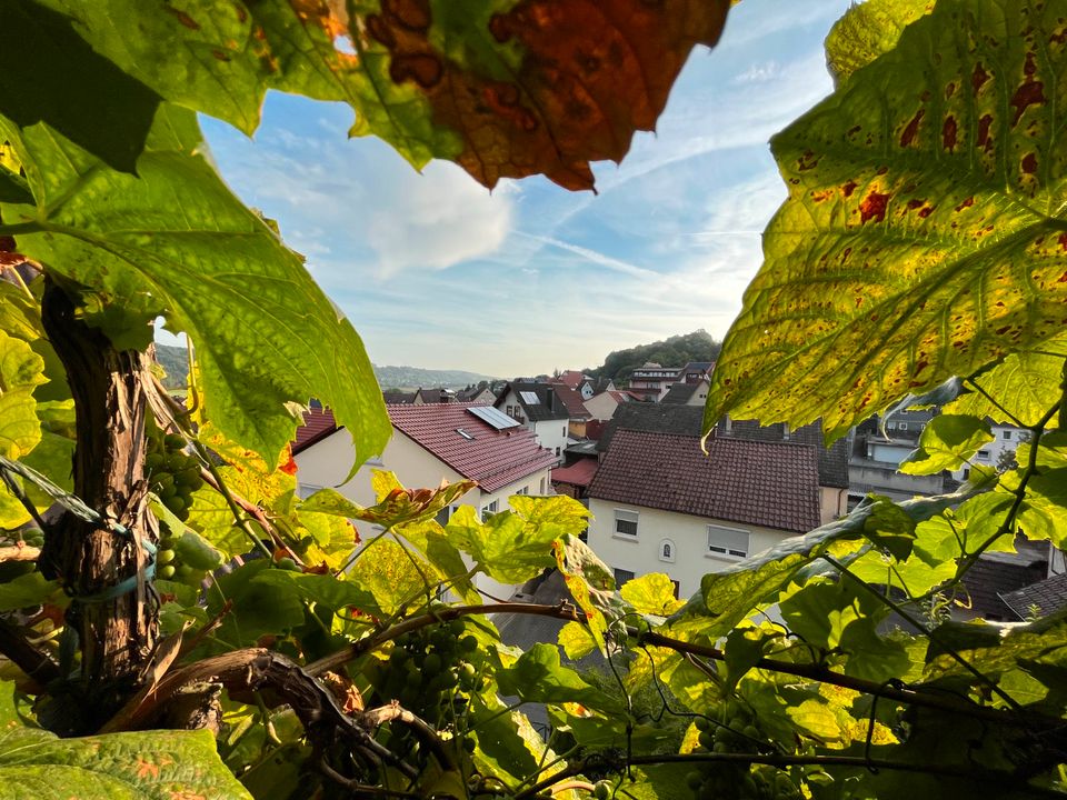 Ein Traum für jeden Handwerker und Naturliebhaber in Schöntal