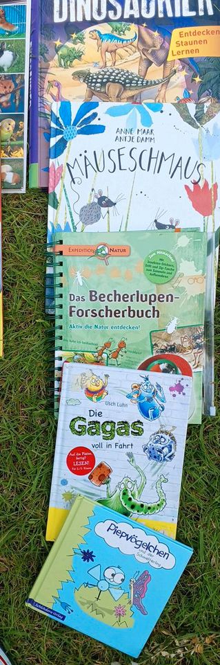 Bücher, Kinderbücher,  Hexe Lilli, Drache Kokosnuss,  Löwenzahn.. in Wietmarschen