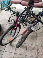 Fahrräder zu verkaufen Nordrhein-Westfalen - Hagen Vorschau