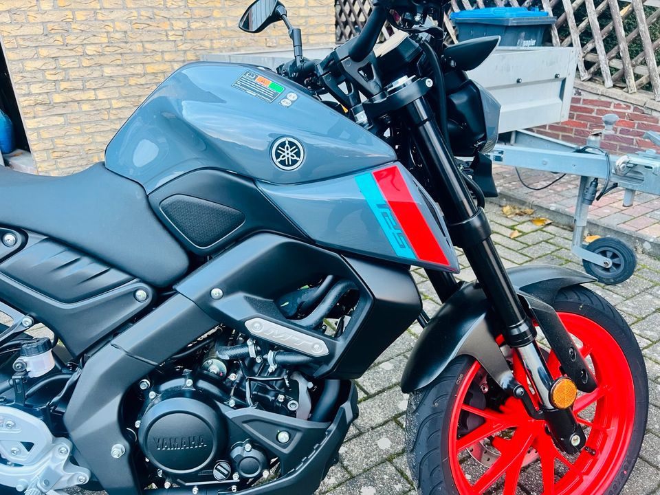 Motorrad  Yamaha MT Special Editionr in Ilsede