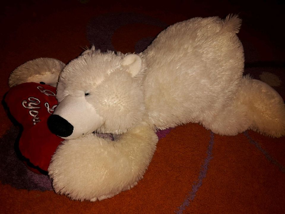 Grosse Teddy teddybär Weißbär Bär jedes teil 8 € in Herne