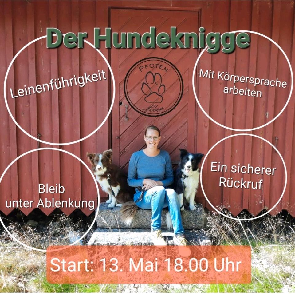 Hundetraining Hunseschule Hunde in Altenberge