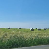 Siloballen und Heulageballen  zu verkaufen Niedersachsen - Melle Vorschau