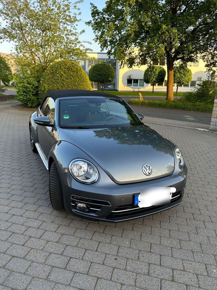 Volkswagen Beetle 1.2 TSI DSG BMT SOUND Cabriolet SOUND in Kaltenkirchen