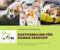 Hundebetreuer gesucht Nordrhein-Westfalen - Rietberg Vorschau