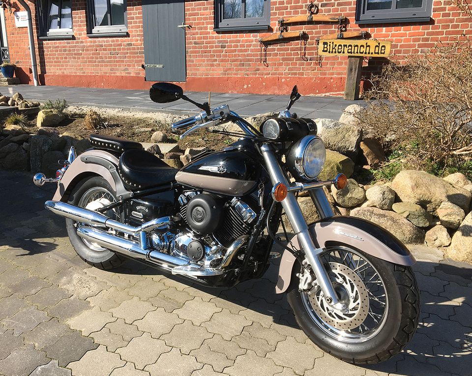 Yamaha XVS 650 Classic* 9770km* Oldskool* Service neu* Unikat* in Süsel