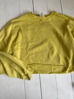 Adidas Sweatshirt gelb cropped L Niedersachsen - Lüneburg Vorschau