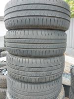 4x Sommerreifen Michelin 195/55R16 87H Nordrhein-Westfalen - Detmold Vorschau