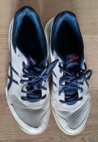 ASICS Sportschuhe Gr.42 Schleswig-Holstein - Flensburg Vorschau