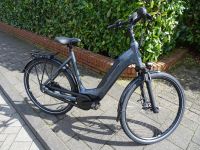 Batavus Altura E-Go Power Plus " Damen-E-Bike " NEU Niedersachsen - Hoogstede Vorschau