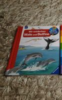 Lernbuch Wale Delphine wieso weshalb warum Ravensburger Buch Berlin - Mitte Vorschau