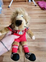 Bayer 04 Leverkusen Löwe, Werkself Maskottchen Brian the Lion Nordrhein-Westfalen - Sankt Augustin Vorschau